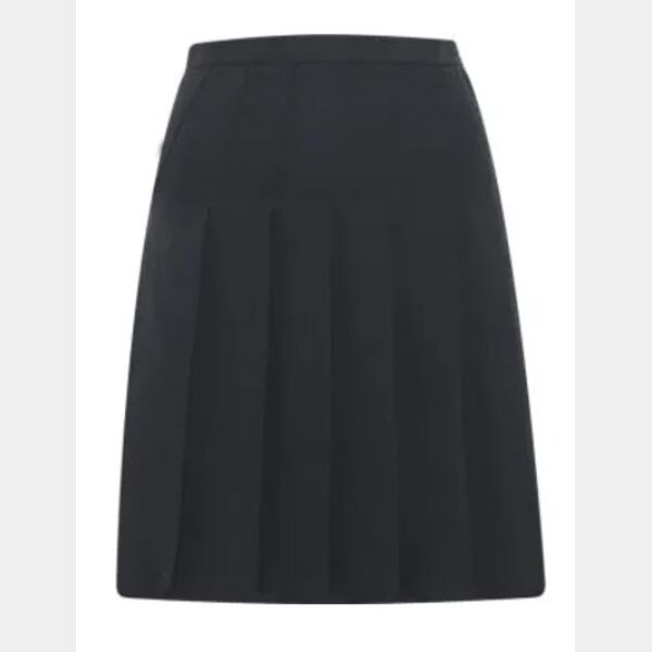 Designer Pleated Skirt (SENIOR) Thumbnail
