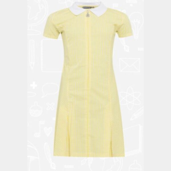 Avon Dress Thumbnail