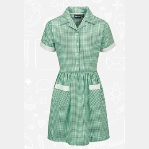 Ayr Dress Thumbnail