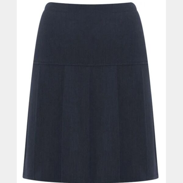 Charleston Pleated Skirt (JUNIOR) (W22-28) Thumbnail
