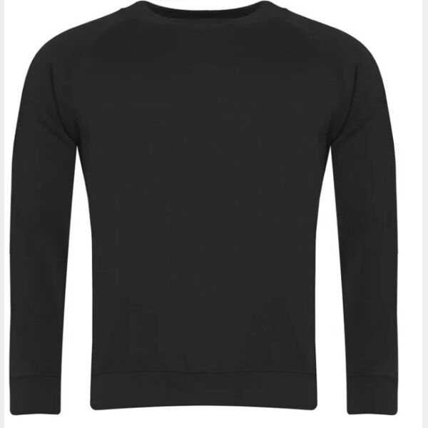 Select Raglan Sweatshirt (SENIOR) Thumbnail