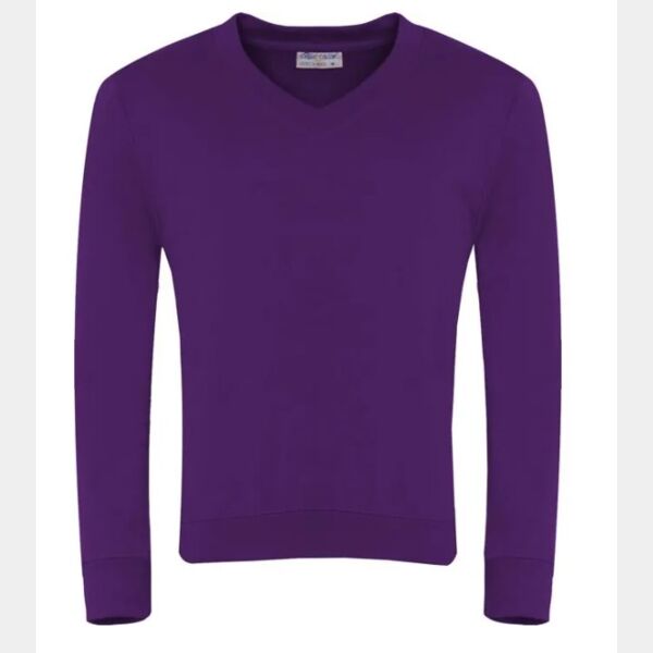 Select V-Neck Sweatshirt (SENIOR) Thumbnail