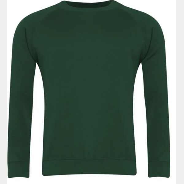 Classic Crew Neck Sweatshirt (SENIOR) Thumbnail