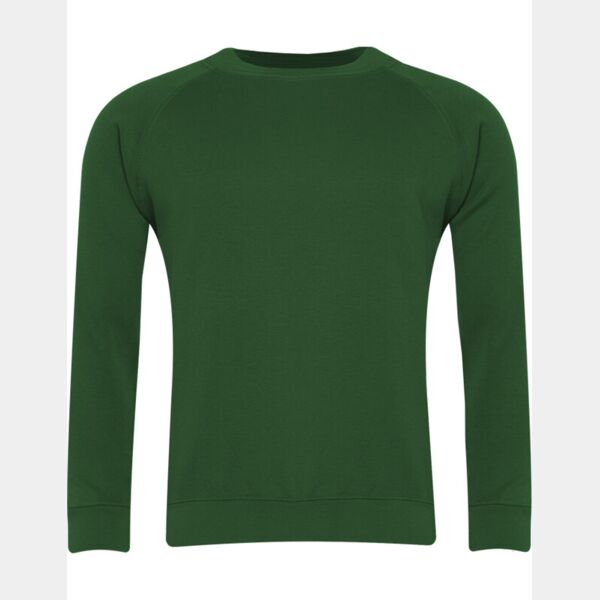 Classic V-Neck Sweatshirt (SENIOR) Thumbnail