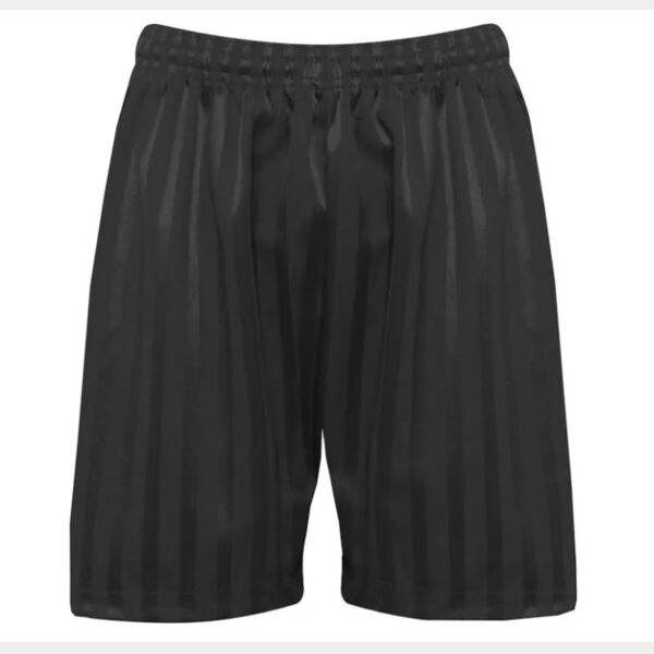 Shadow Stripe Shorts (SENIOR) Thumbnail